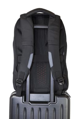 Seljakott Walker CEO Decent must