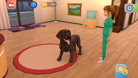 XboxOne/SeriesX Animal Hospital