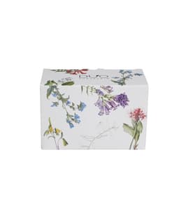 Suhkrutoos ja koorekann COLORS OF NATURE