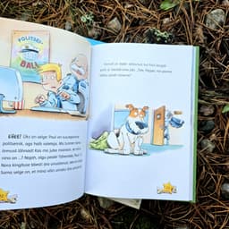 Komissar Käpp. Kadunud kaelakee