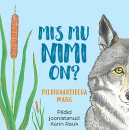 Mis mu nimi on? Pildikaartidega mäng