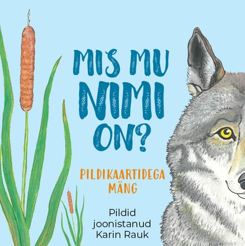 Mis mu nimi on? Pildikaartidega mäng