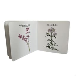 Väike aasalilleraamat