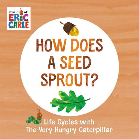 How Does A Seed Sprout?