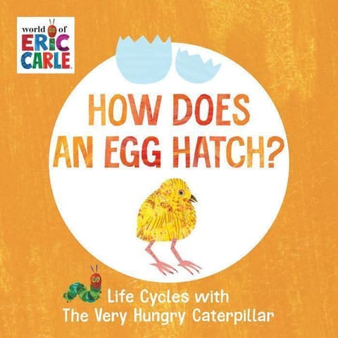 How Does An Egg Hatch?