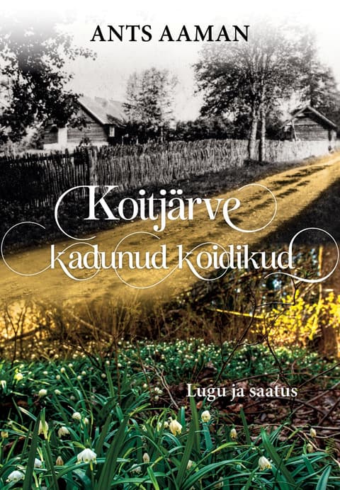 Koitjärve kadunud koidikud