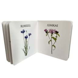 Väike aasalilleraamat