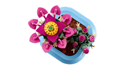 LEGO Botanicals Õitsev kaktus