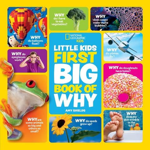 Little Kids First Big Book of Why (National Geographic Kids)