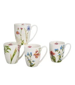 Kruuside komplekt COLORS OF NATURE 4x360ml