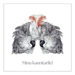 Sõnumikaart Kõrvarõngad "Minu kaunitarile"