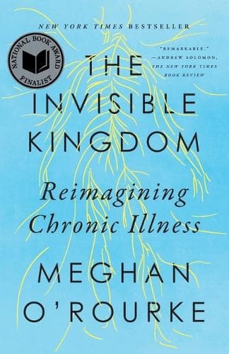 The Invisible Kingdom : Reimagining Chronic Illness