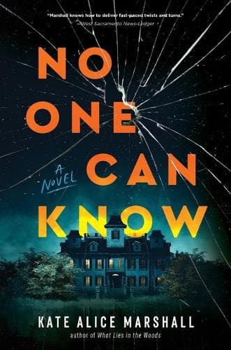 No One Can Know: A Novel