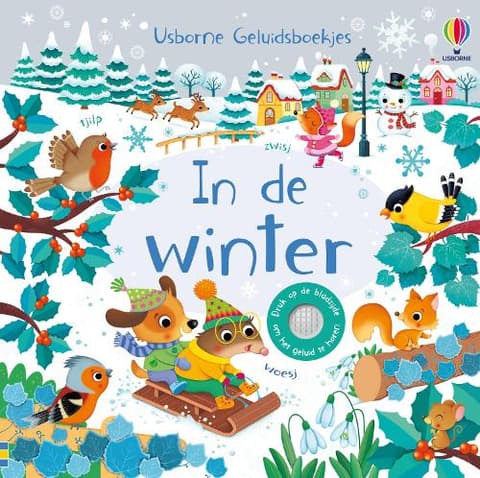 In de winter