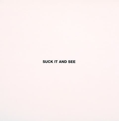 LP Arctic Monkeys - Suck It And See