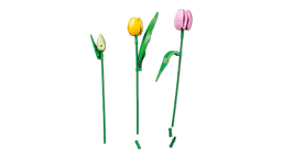 LEGO Botanicals Tulbikimp