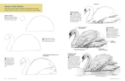 The 15-Minute Artist : The Quick and Easy Way to Draw Almost Anything