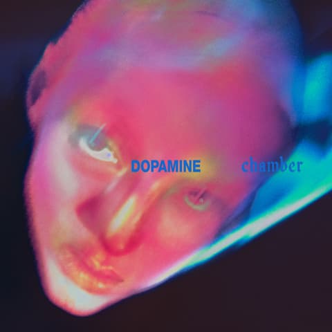 LP Fontaines D.C. - Dopamine Chamber (Black vinyl)