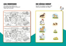 Värvimine ja mõistatused lasteaialastele. Talu