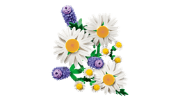 LEGO Botanicals Karikakrad