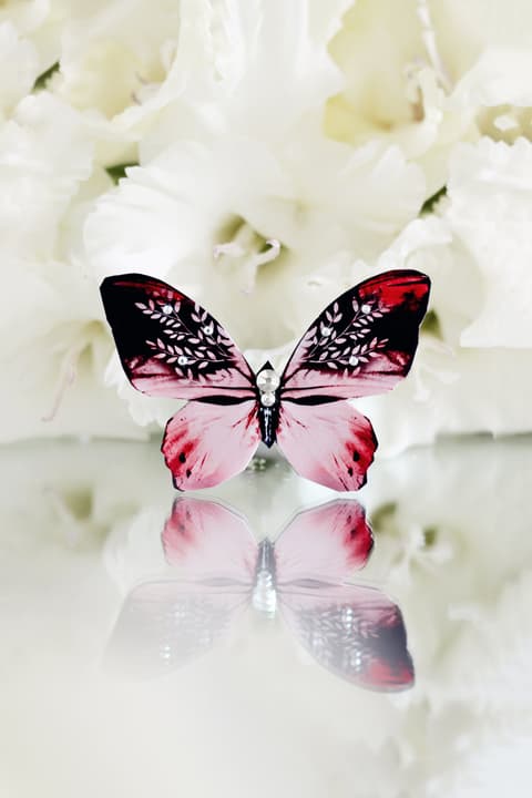 Liblikas-pross Queen of Hearts