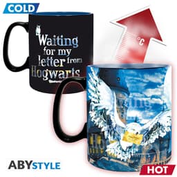 Kruus HARRY POTTER - 460 ml - Letter