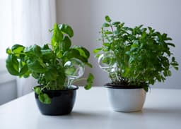 Taimede niisutuspallid 2 tk komplektis, 15cm