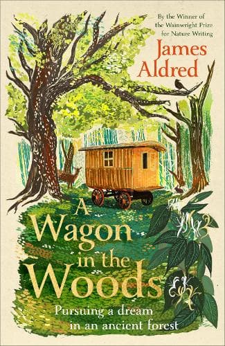 A Wagon in the Woods: Pursuing a dream in an ancient forest