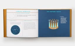 Seeing Stars. A Complete Guide to the 88 Constellations