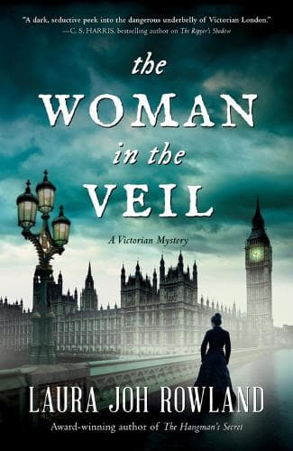 The Woman In The Veil: A Victorian Mystery