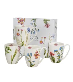 Kruuside komplekt COLORS OF NATURE 4x360ml