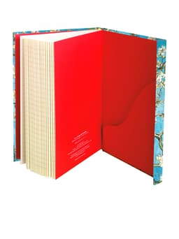 Van Gogh: Almond Blossom (Foiled Journal)