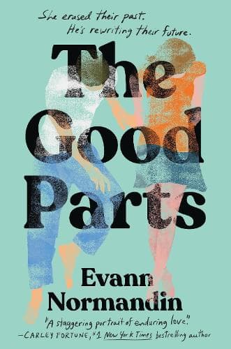The Good Parts: The epic love story of the summer - perfect for fans of ONE DAY and ME BEFORE YOU
