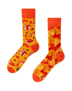 Many Mornings sokid  THE SQUIRRELS-35-38