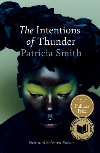 The Intentions of Thunder: New and Selected Poems