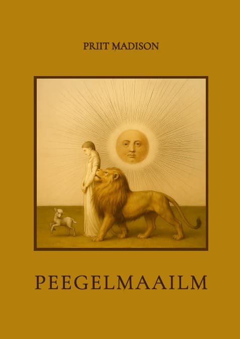 Raamat Peegelmaailm