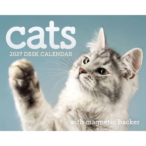 Kalender 2027 Cats Mini Box