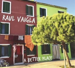 Raul Vaigla - Better Place CD