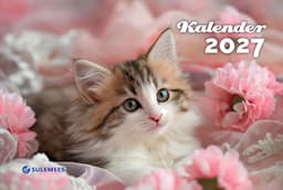 2027 Kiisu kalender