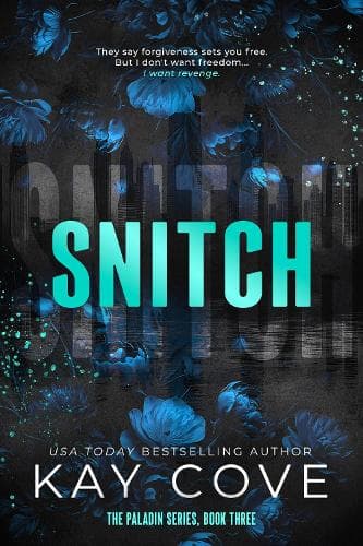 Snitch: A dark and dangerously addictive, spicy age-gap assassin romance (PALADIN Book 3)