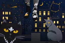 Many Mornings sokid BLACK CAT-39-42