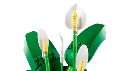 LEGO Botanicals Tõlvlehik