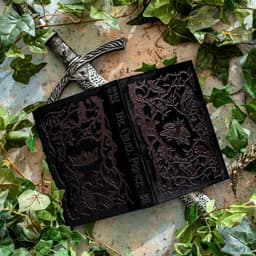 The Cruel Prince: Collector´s Edition