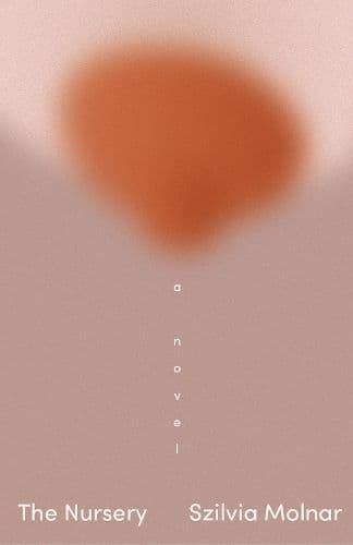 The Nursery: A Novel