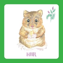 Mis mu nimi on? Pildikaartidega mäng