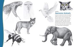 The 15-Minute Artist : The Quick and Easy Way to Draw Almost Anything