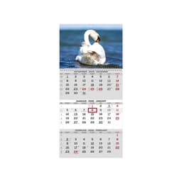 Seinakalender 2026 TRIO eesti-inglise