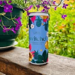 Põldmarja-ebaküdoonia Switchel 250ml