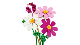LEGO Botanicals Kosmoseõied