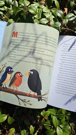 Kuidas metsas pühi peeti